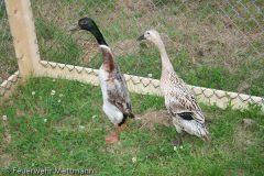 IMG_7662