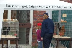 20090606_085347
