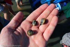 20120818_163234