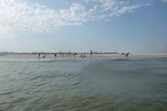 20120819_104517
