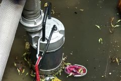 20170719_184440