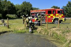 IMG_1715