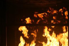 IMG_8175