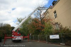 20081020_153357a