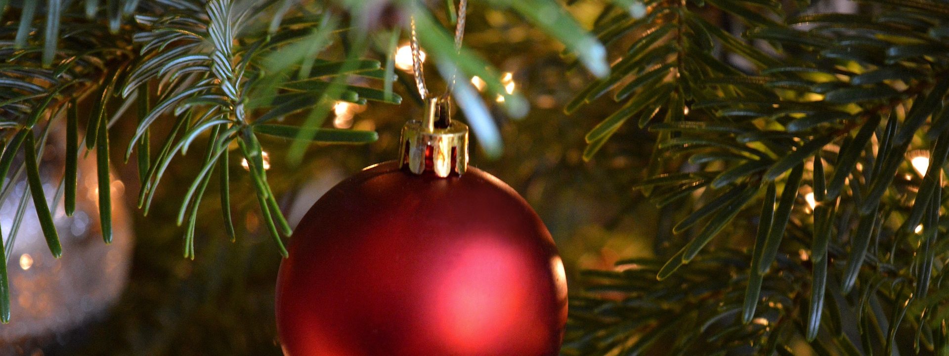 Weihnachtsbaum